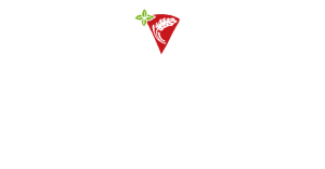 pastamadre-pizzeria-primitiva-treviso-logo